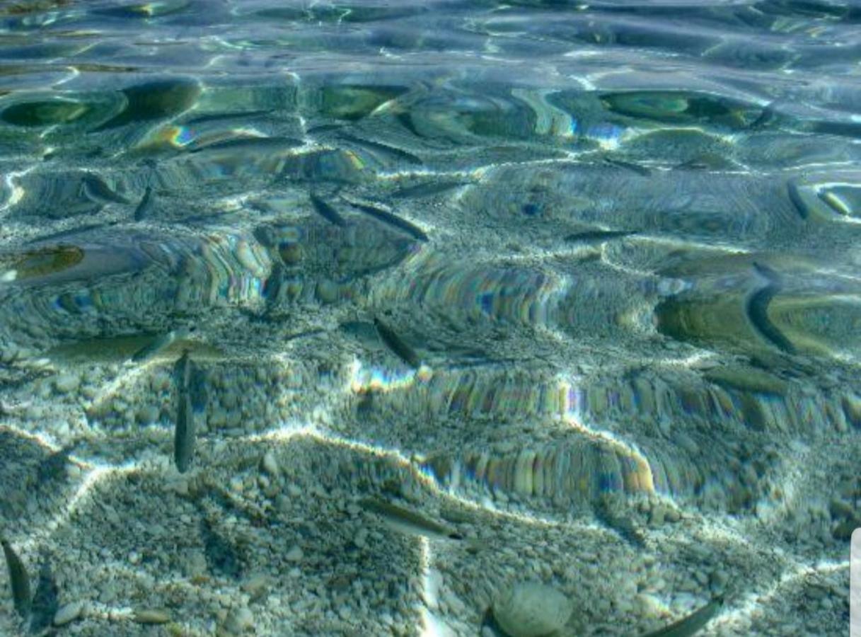 Casa Vacanze Sea-Life Alcamo Marina Luaran gambar